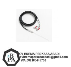 Fluke 5622 Thermistor Probe | Precision Temperature